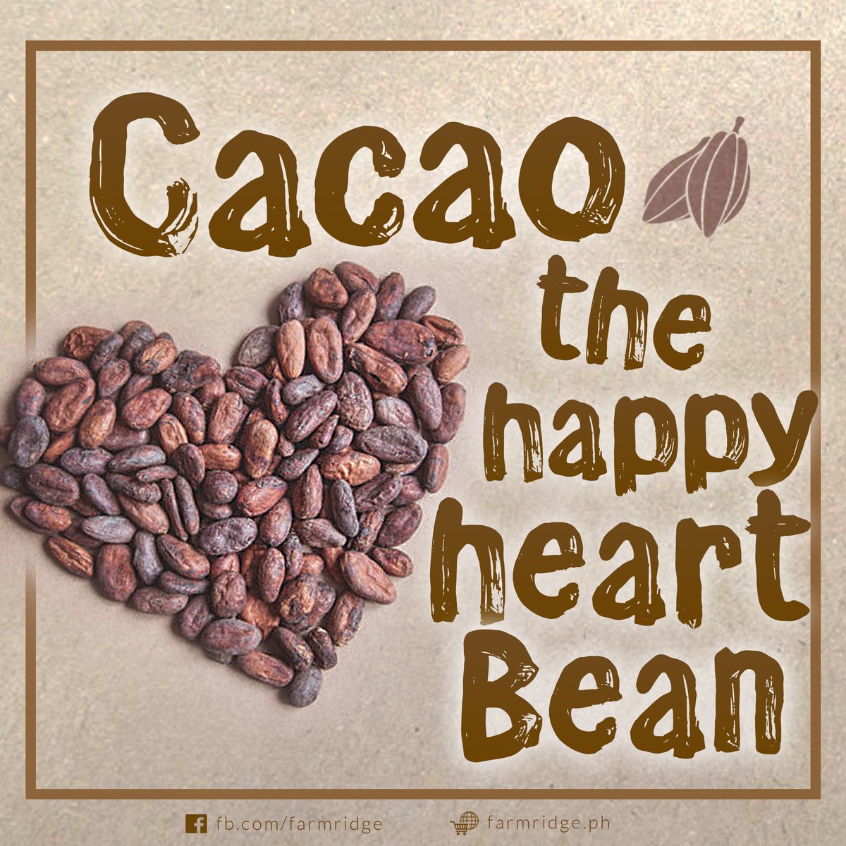 Farm_RidgePH's tweet photo. Our MS3 CHOCO dark chocolates are made from premium cacao beans produced in Davao 💯❤️ 
Learn how this could be beneficial to your health: https://t.co/z1ileZBihh

#ms3choco #cacaobenefits #darkchocolates #premiumdarkchocolates #farmridgeph #ms3agriventurescorp https://t.co/b9ASQ7HKVj