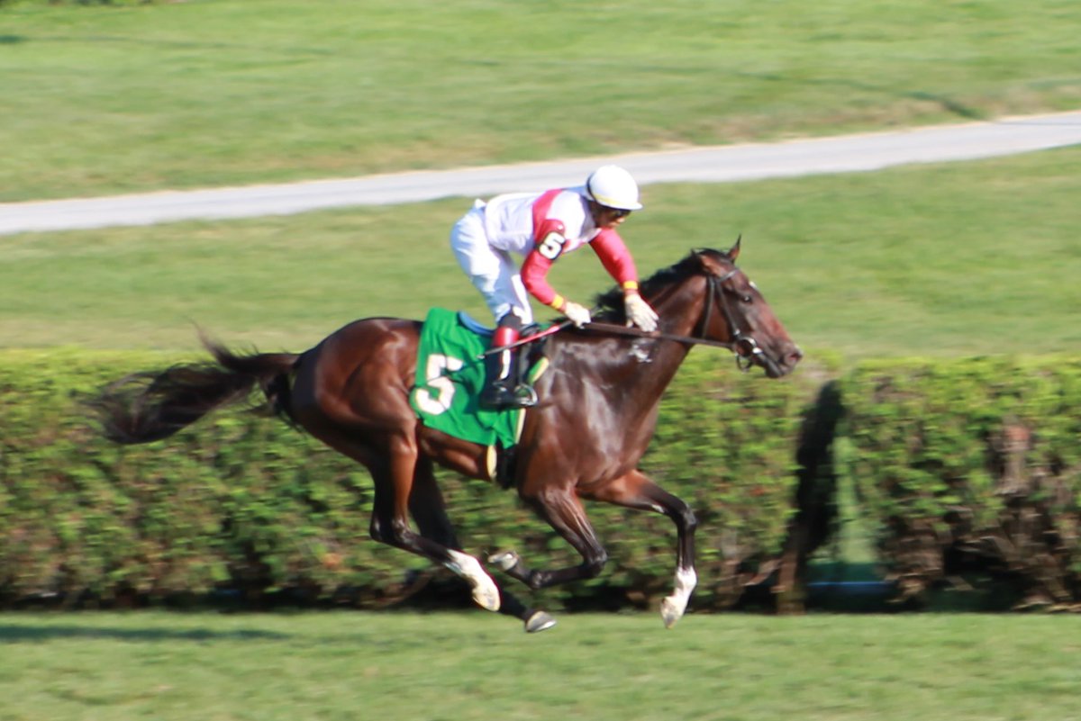 PhippsStableFan's tweet photo. PHIPPS STABLE WORKOUT WATCH: TWO BULLETS THIS WEEK
๐ดPassing Out, GSP 4/F (OrbโParty Now, by Tiznow) โJul10 Bel โ 4f fm 47.2 B 1/16
๐ดBreaking the Rules, GSP 5/h (War FrontโProtesting, by A.P. Indy) โJul14 Sar 3f fst :37.1 B 1/15
#PhippsStable #StuartJanney @ClaudeMcGaughey https://t.co/79tF4j7shx