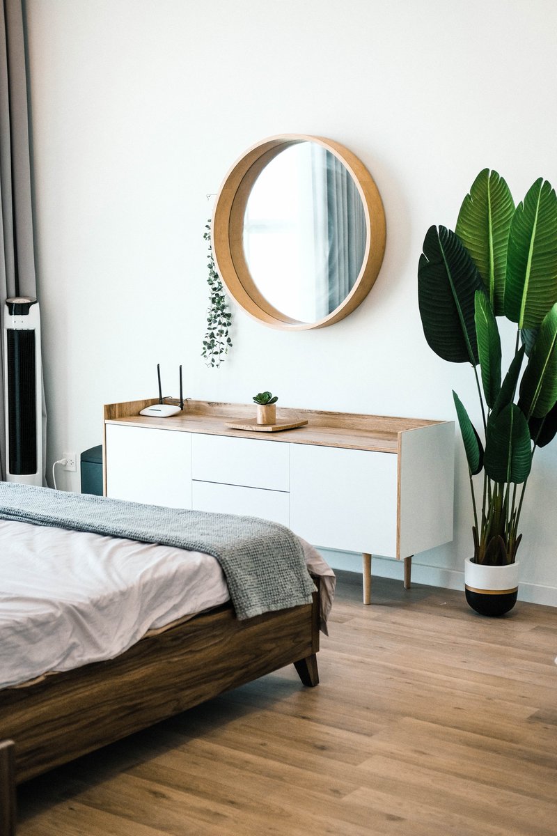 thecozzee's tweet photo. For The Best Sleep Of Your Life, Put Plants in Your Bedroom🌿☘️🌵

https://t.co/i8xe5pEKCn https://t.co/OOLUdt3fNz
