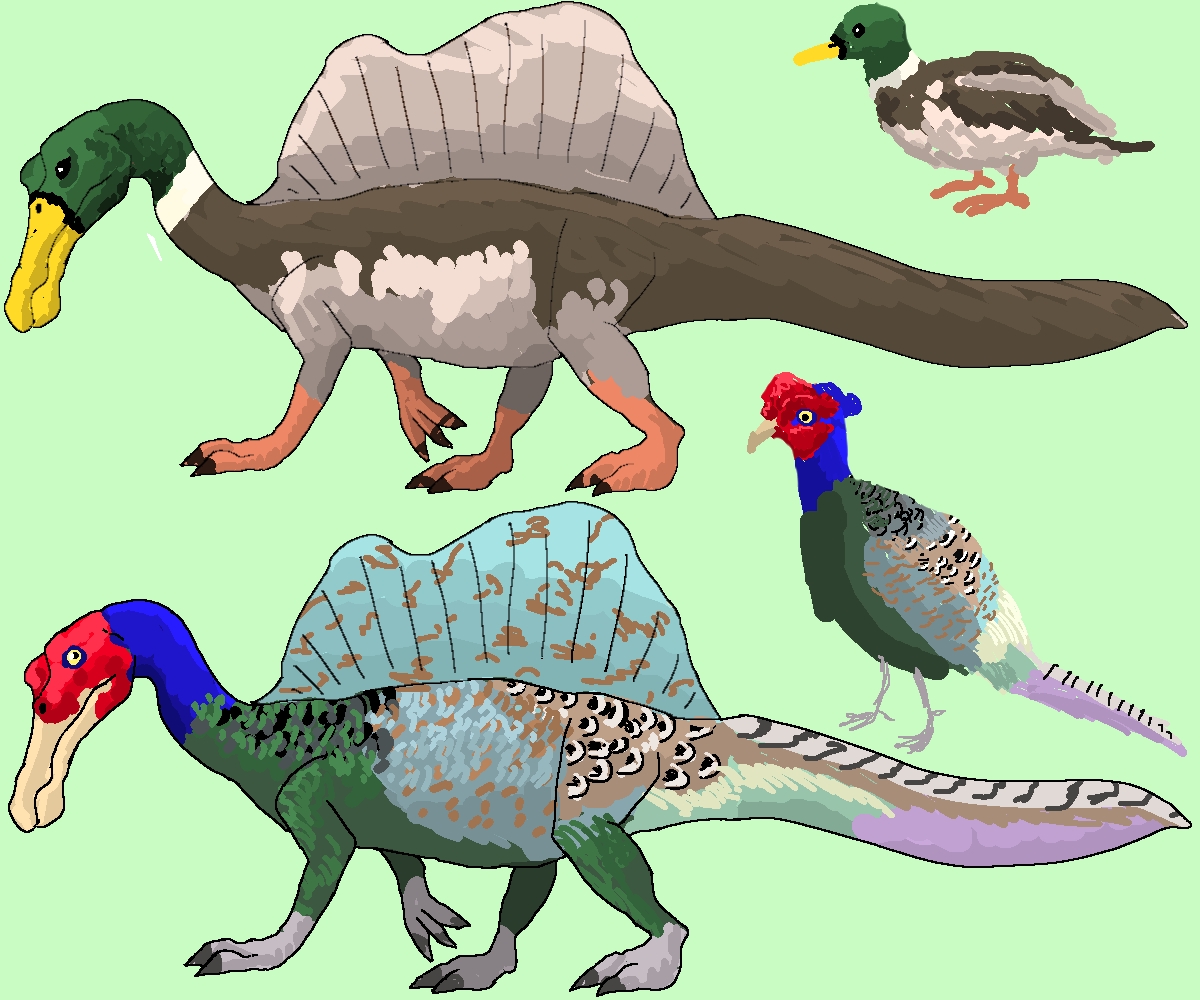 はししも 日本産 スピノサウルス 類 Spinosaurus Dinosaurs 恐竜 古生物 鳥 Birds イラスト T Co Ccjr7fciva Twitter