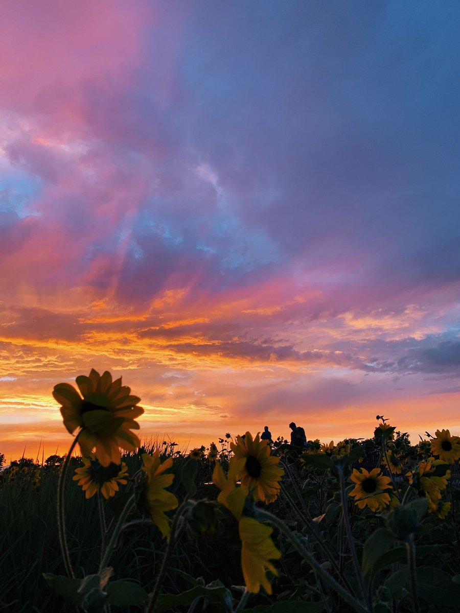 lunabbyb's tweet image. CO went crazy tonight