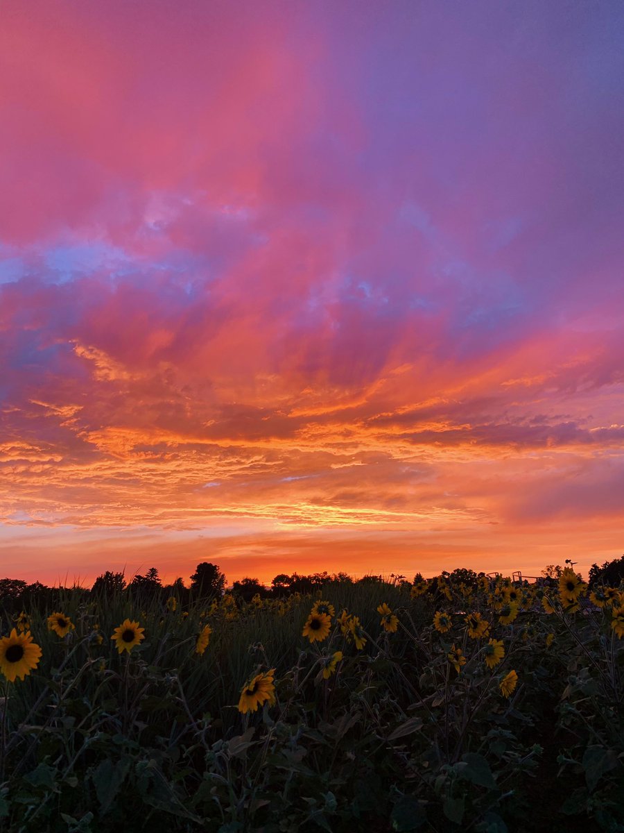 lunabbyb's tweet image. CO went crazy tonight