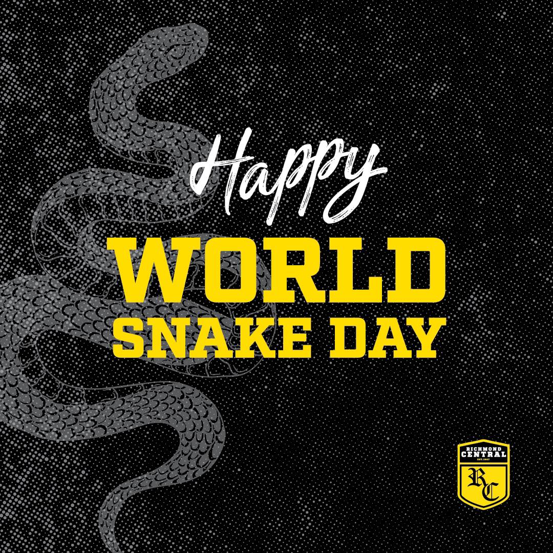 HAPPY WORLD SNAKE DAY!

We're just one of 140 species of snakes right here in Australia, and some 3,500 the world over.

That's why we're asking you to donate to @wildlife_vic. Their work helps more than 50k animals each year: wildlifevictoria.org.au