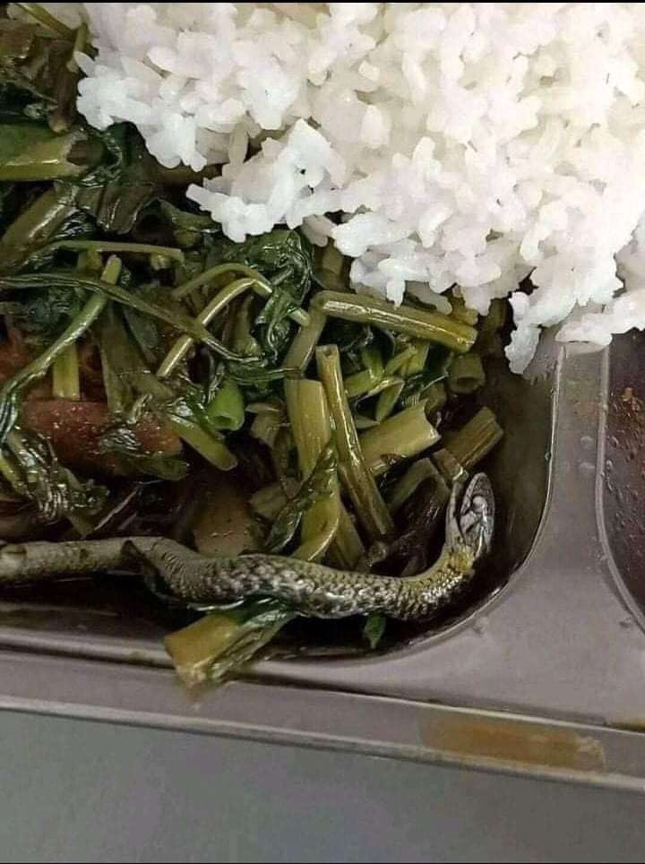 fvckingtru3's tweet photo. Ulernya cosplay jadi kangkung😭 https://t.co/J0XACsUkyT
