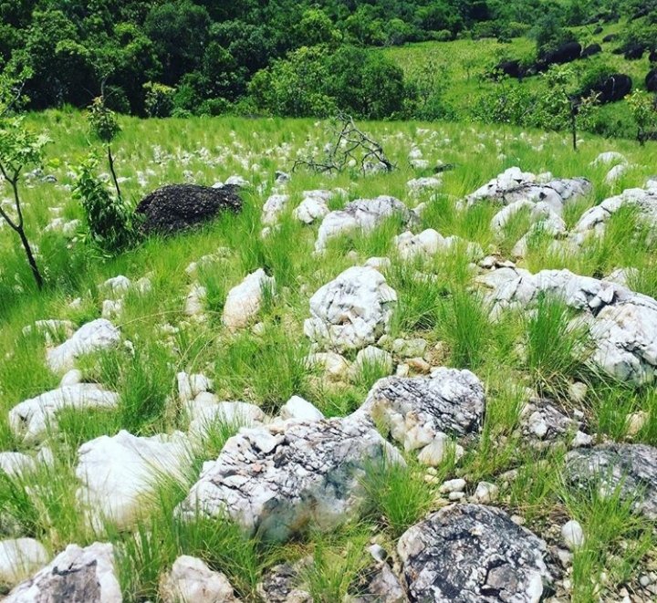 glmprocess's tweet image. Eluviones de coltan