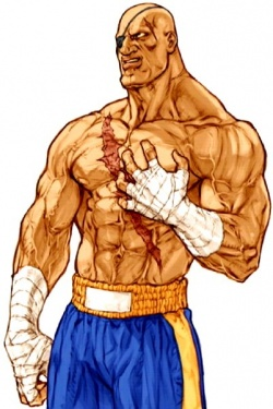 This character failed to make it into the Olympics due to an injury. If that's the case, her injury could be visually reflected. For instance Sagat has a glowing scar as a result of his traumatic loss to Ryu (who sucker punched him like a dirty rat!) in the distant past.