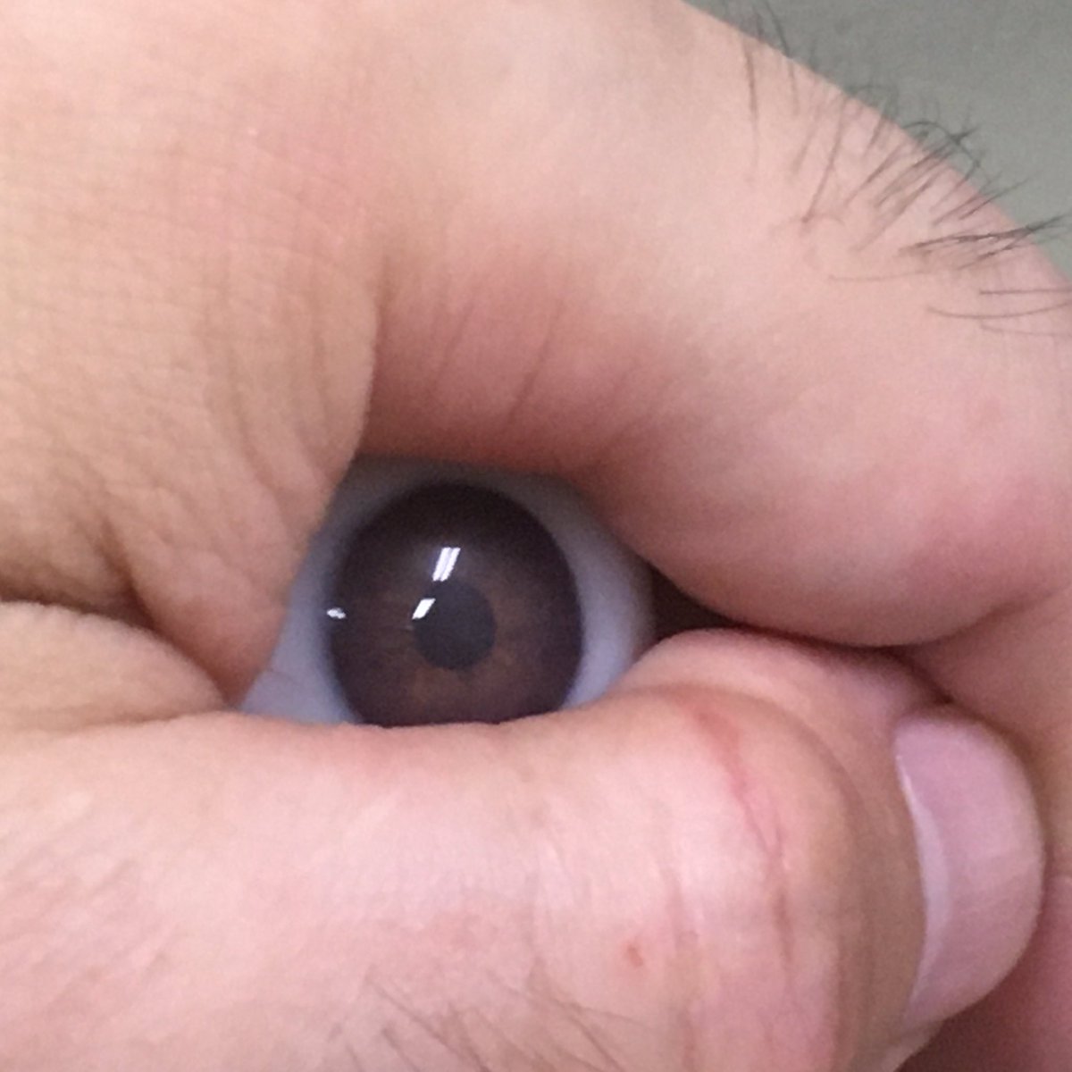 OkuyamaT2c's tweet photo. 新しい型で久々に人間サイズの義眼。
直径約27.5〜28mm。
レンズの凸は無い仕様で。
血管の量は変えてみた。
義眼制作は何かと手間がかかるので
どうにか簡略化をと色々試したけど
結局は元のやり方が確実だったという残念なオチ😅
#polyesterresin #eyeball
#義眼
#ポリエステル樹脂 https://t.co/HgwxuMASBI