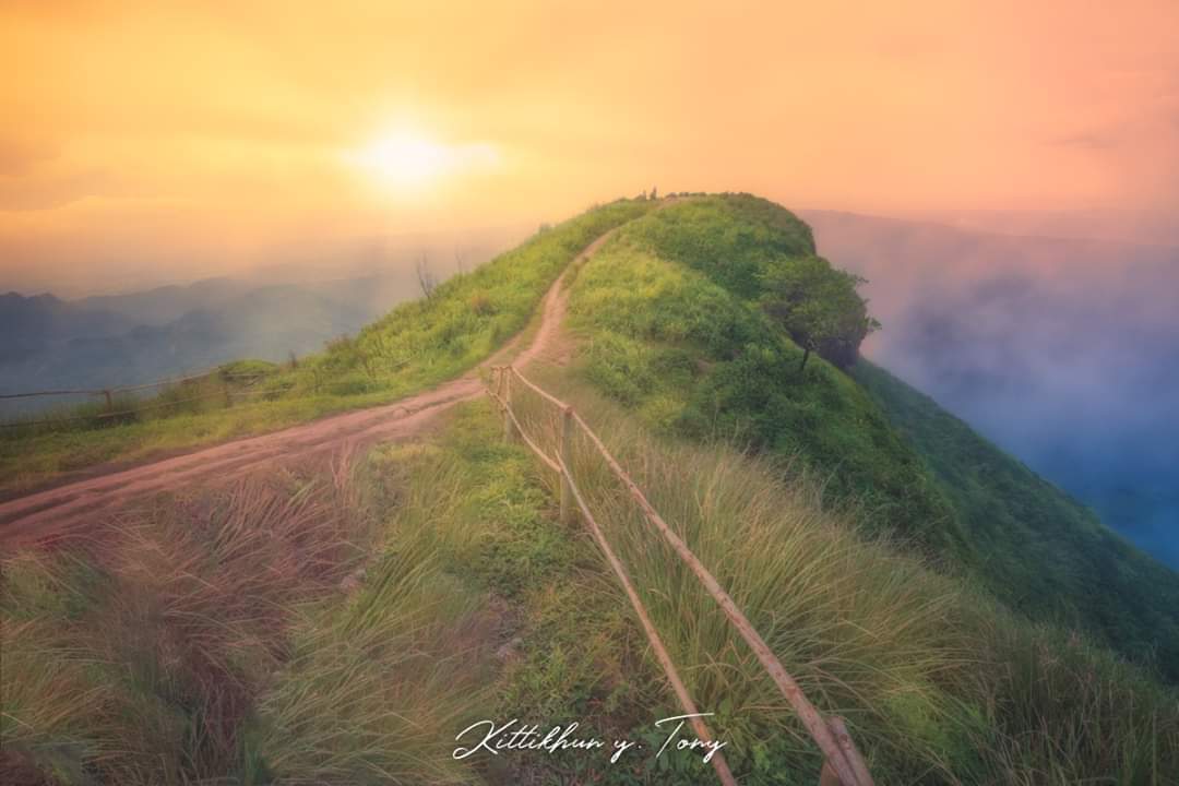 T_Photographer8's tweet photo. ขอ​ให้​ผาหัว​สิงห์​ ยัง​คง​ความ​งดงาม​เช่น​นี้​ตลอด​ไป​  @  จุด​ชม​วิว​ผ้า​หัว​สิงห์​ ภู​ทับ​เบิก​ เพชรบูรณ์
#ผาหัวสิงห์​ #ภู​ทับ​เบิก https://t.co/rSrEvjpdpK