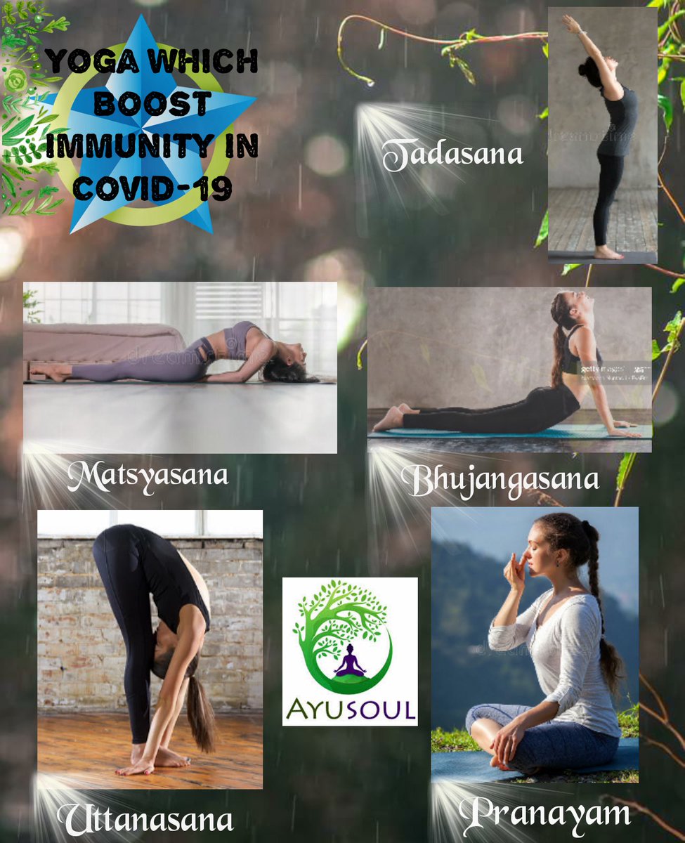 Ayusoul1's tweet photo. Immunity enhancing YOGA Do #yoga regularly to #StopTheSpread of #COVID19 @moayush @vaidyakotecha @CCRAS_MoAYUSH #yogasehihoga #HealthForAll #IndiaFightsCoronavirus #ayurved Please follow us on YouTube 👇👇https://t.co/TiePjGXQDy https://t.co/2gDOvI6M0U