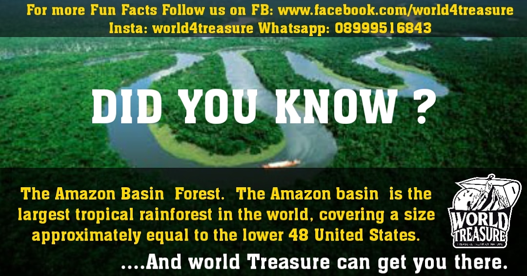 world4treasure's tweet photo. DID YOU KNOW ?
Follow us on
FB: WORLD Treasure
Insta: world4treasure
Whatsapp: 08999516843
#facts #facts💯#traveling #amdavadi #water #trip #forest🌲 #amazonrainforestemergency #amazonrainforestfire #amazonrain #amazonrainforest #amazonforest #amazonbiodiversity #amazonriver https://t.co/766zDMFDTA
