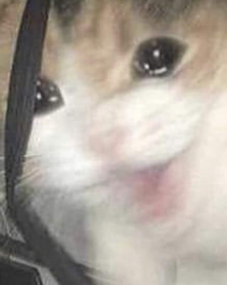 ✨