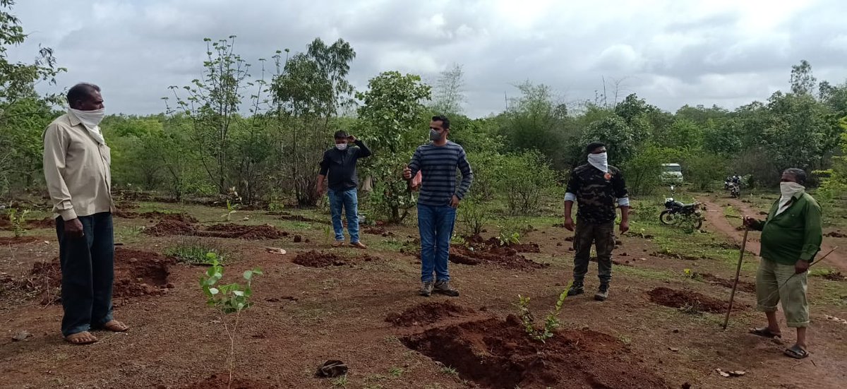 PareshC21052487's tweet photo. Plantation work is now almost done. some pics during field visit https://t.co/Rp84rIGMYz