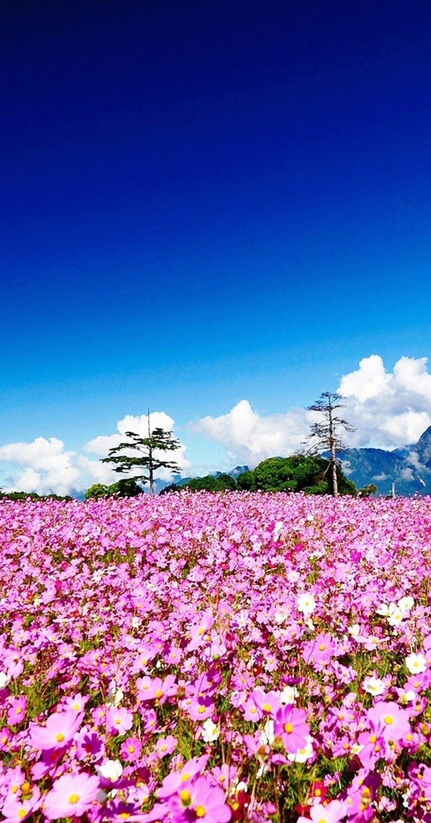 Thierry Gauthier tweet media