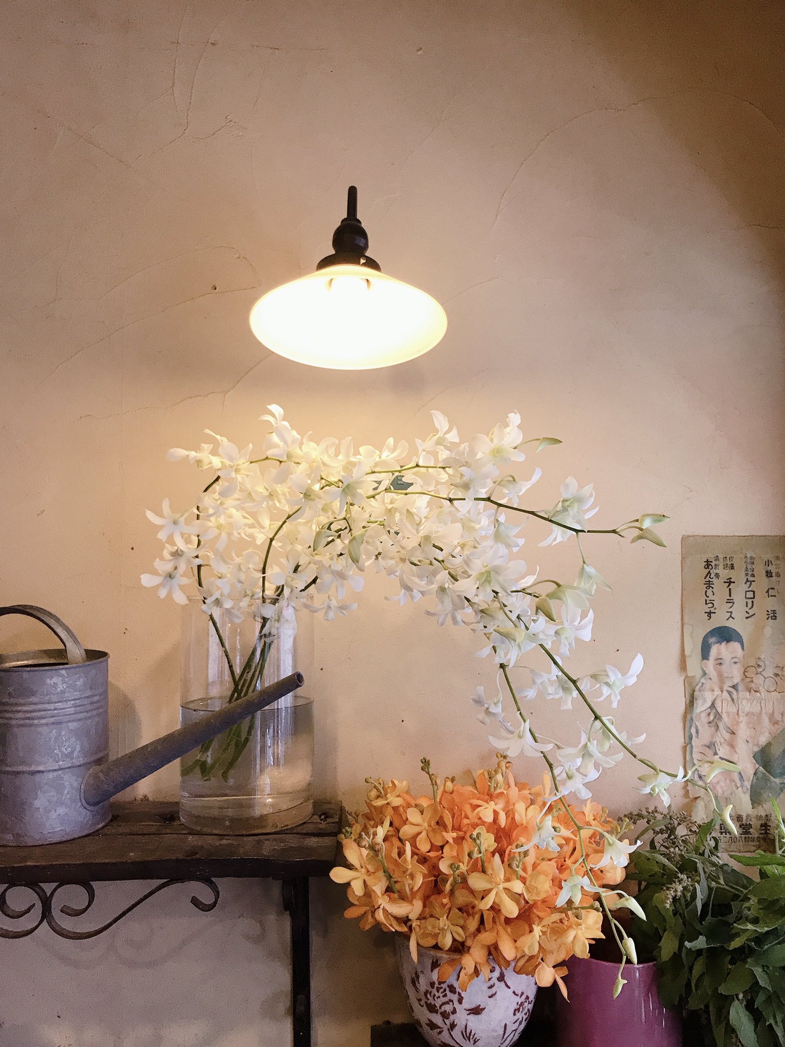 フラワーショップアスター 豊島区 Twitterren 実はたくさんの種類がある 蘭のお花 白い蘭は デンファレ ジャックハワイ オレンジの蘭は モカラ トロピカルオレンジ 雰囲気もさまざまで魅力的です 花のある暮らし 花のある生活 花の写真 花のある暮らし