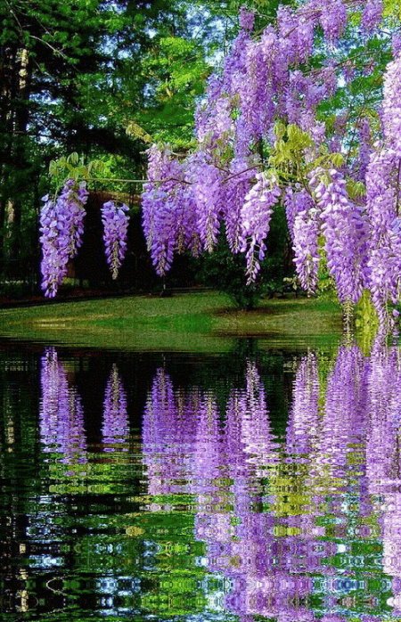 Thierry Gauthier (@gauthie74757302) on Twitter photo Good morning my dear friends from around the world🌍🌎🌏
Wishing you a pleasant Thursday of happiness everyone 🌸💐💗🤗 Good morning my dear friends from around the world🌍🌎🌏
Wishing you a pleasant Thursday of happiness everyone 🌸💐💗🤗