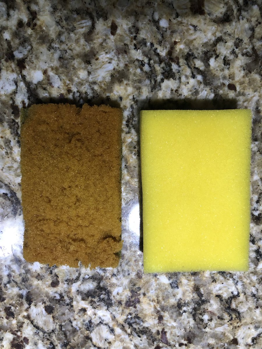 Malex_LM's tweet photo. Hasta hoy capté por qué el papá de Bob Esponja era café... ya sáquenme de esta cuarentena https://t.co/rqxkHWHZd3