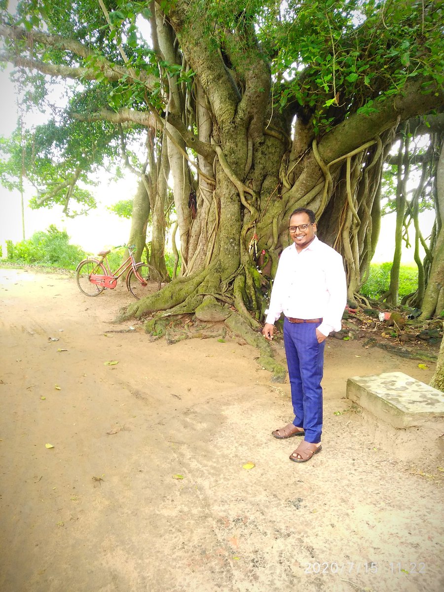 BeheraTofan's tweet photo. Such a beautiful moment under this one of the oldest tree...
Love this https://t.co/oPYcPhZyZv