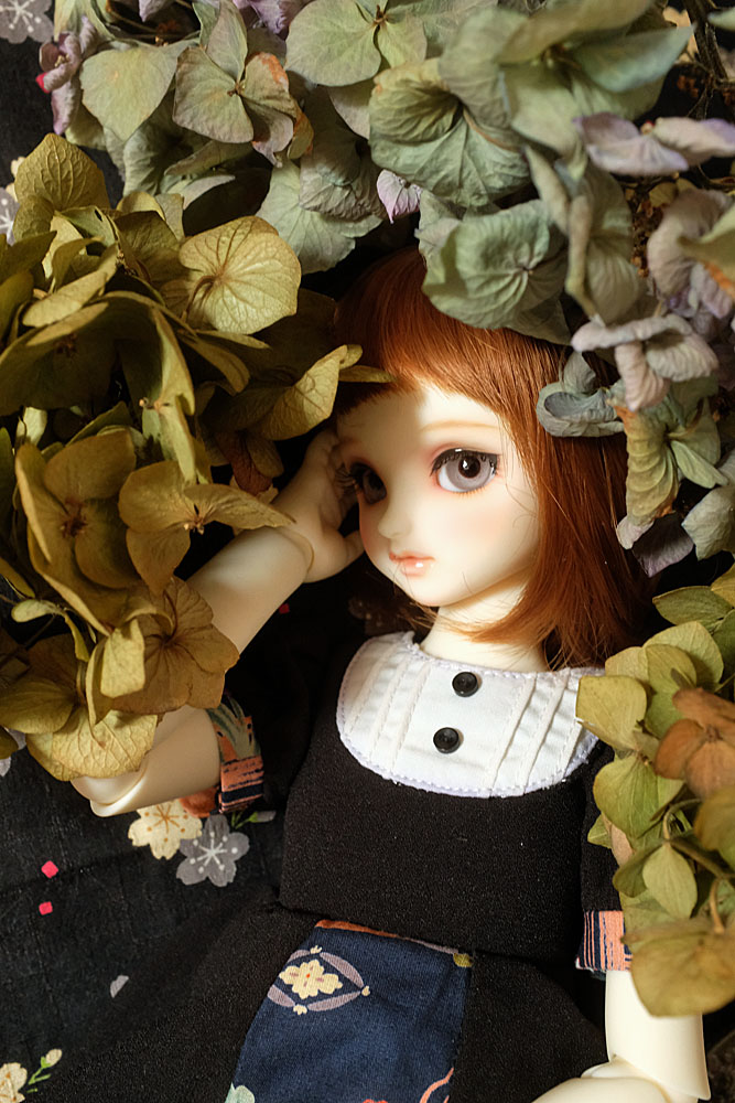 _pasticcina's tweet photo. Sunset time.
.
#volksdoll #sdm40 #sdmf40 #superdollfie #bjd #dollphoto #スーパードルフィー #ボークス #ドール https://t.co/P7pXGLEKIi
