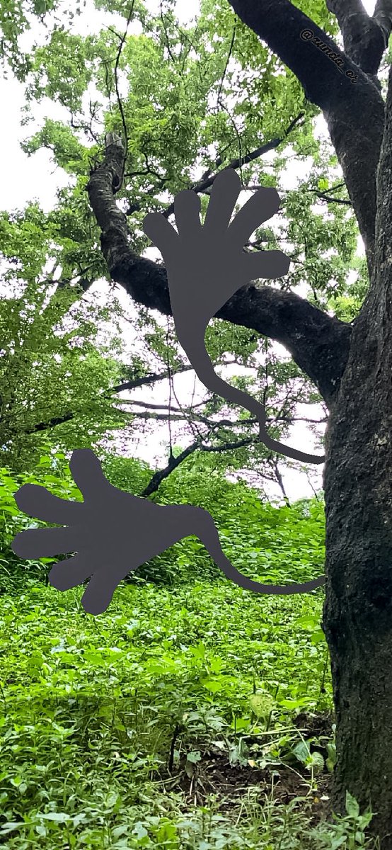 デスカーン Twitter Search