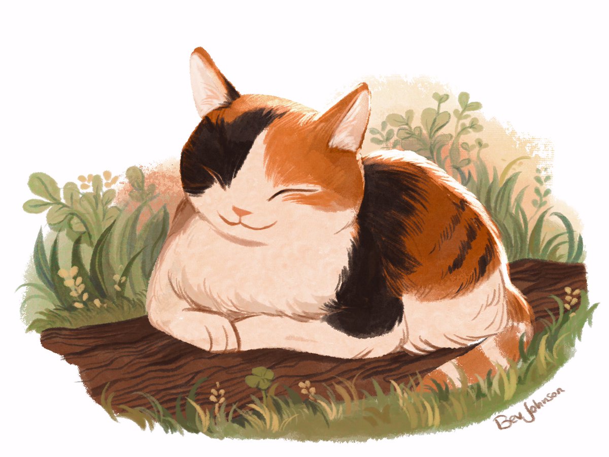 beverlylove's tweet photo. calico 🍀 https://t.co/1yUTh0QVS2