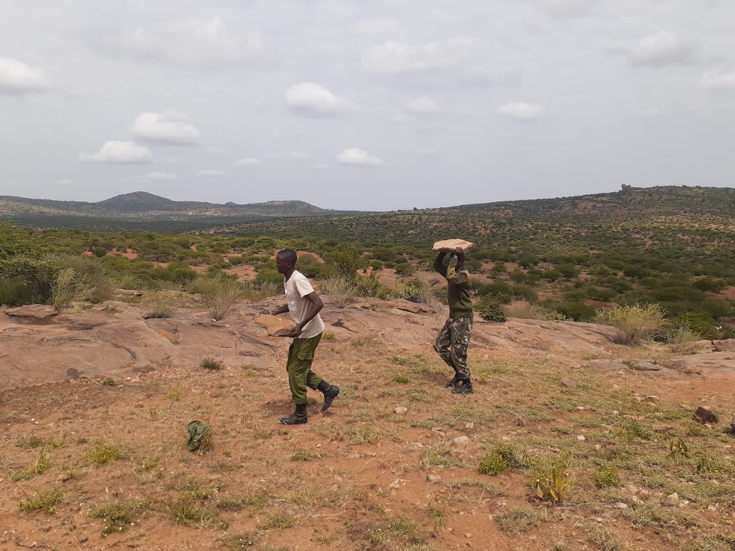 NaibungaC's tweet photo. Our community scouts are doing the labor work to ensure that their new camp construction is complete, this is collaborative effort between the community members, our partners and the conservancy management through our call for #Communityfinancing https://t.co/jM5V9ggWwi