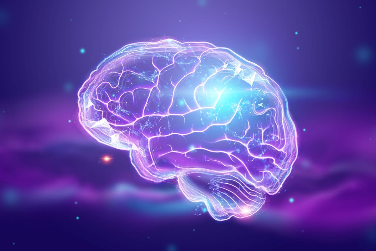 GoodNewzIndo's tweet photo. Terlalu sering mengalami jet lag ternyata bisa merusak daya ingat manusia. Hal ini terjadi karena hormone stres yang dilepaskan selama jet lag bisa merusak lobus temporal dan memori. Lobus temporalis berperan dalam memperkuat ingatan visual, memproses input indra, memahami bahasa https://t.co/G7gEvk7T5A