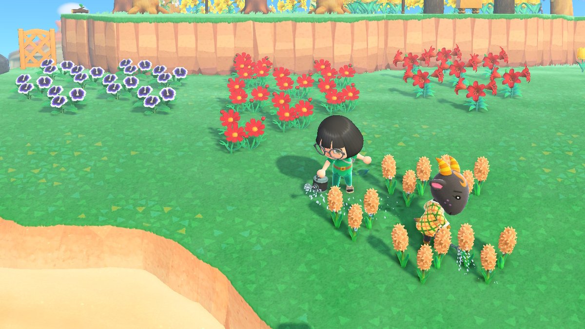 foolinaroundlol's tweet photo. lil sweetheart started helphg me water my flowers #AnimalCrossing #ACNH #NintendoSwitch https://t.co/DEjfuComQ6