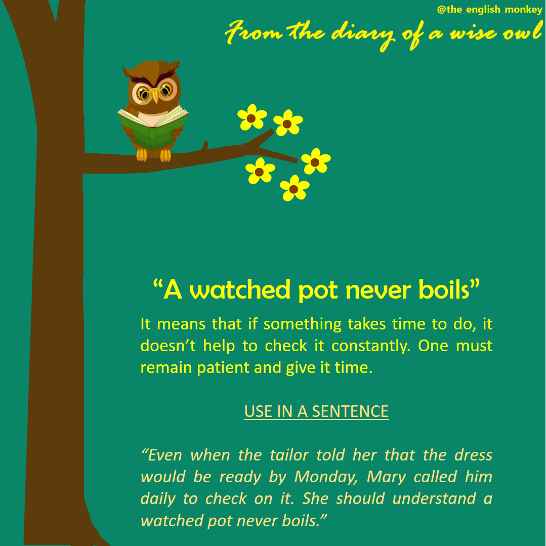 aSimpleLesson's tweet photo. Learn a new proverb 'From The Diary of a Wise Owl' every Thursday in this space from The English Monkey!

#TheEnglishMonkey #fromthediaryofawiseowl #LearnFromHome #Proverbs #proverb #English #elearning #onlinelearning #thursdaymorning #thursdayvibes #ThursdayThoughts #learning https://t.co/DPUFiKBAoJ