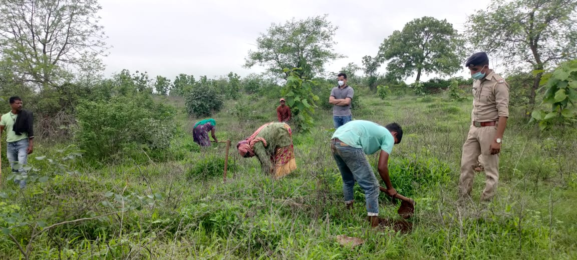 ForestBaria's tweet photo. @CCFSurat @dcfsurat @PareshC21052487  planting work visit acf sir @PareshC21052487 https://t.co/7uau9RAuIZ