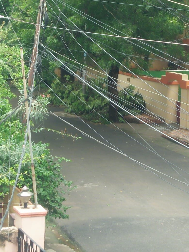 srinivas_ved's tweet photo. @GHMCOnline @KTRTRS @CommissionrGHMC 
Tree branches lying unpicked for past one week , no response from concerned official
Venkateswara colony, next to water tank Narayanaguda 
Sri venkateswara colony welfare association https://t.co/VcXxSXQxVE