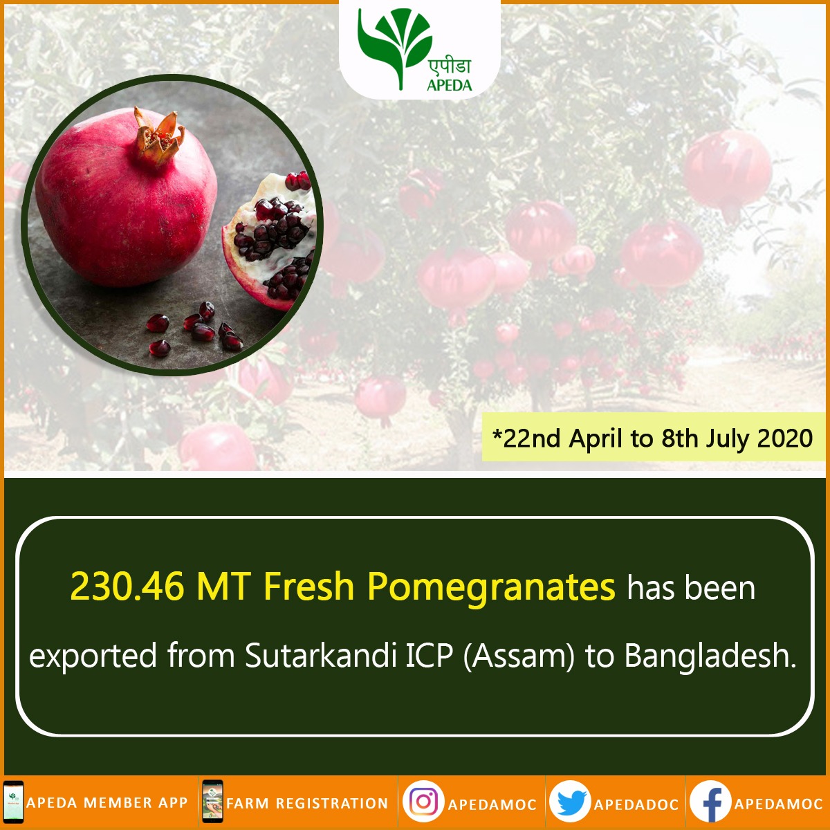 APEDADOC tweet picture