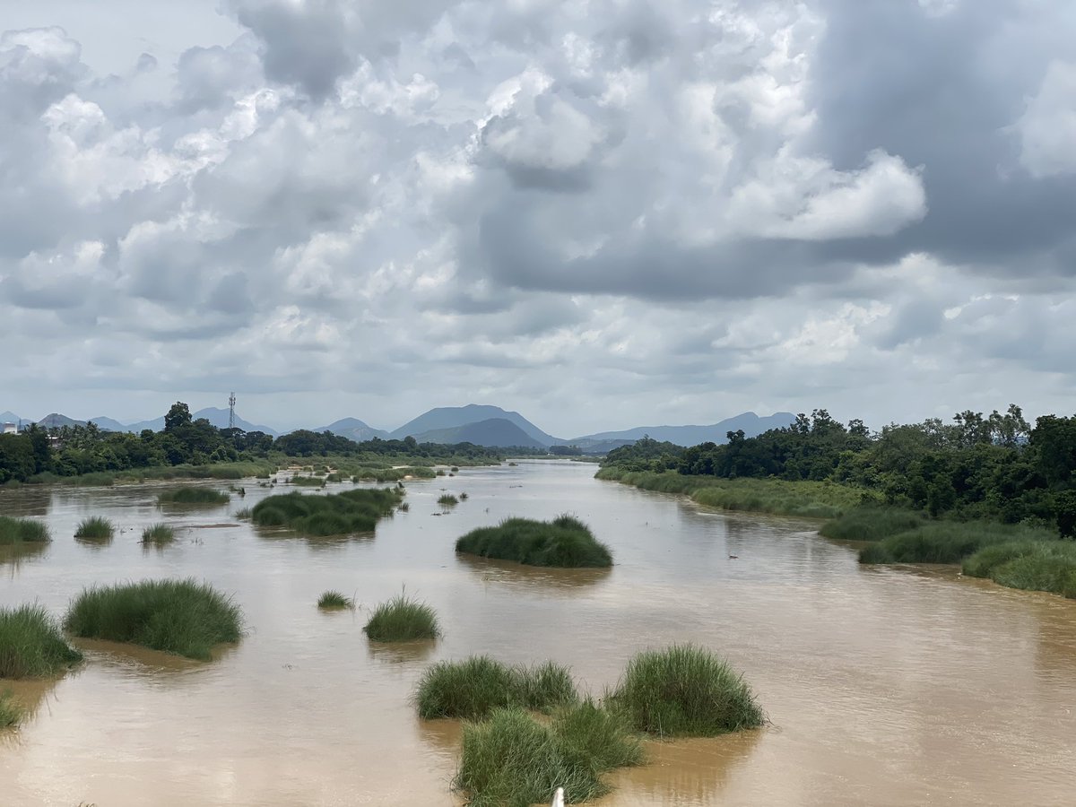 Vijaykulange's tweet photo. Monsoon colours from Surada Block Ganjam. https://t.co/JlC63MqlIq