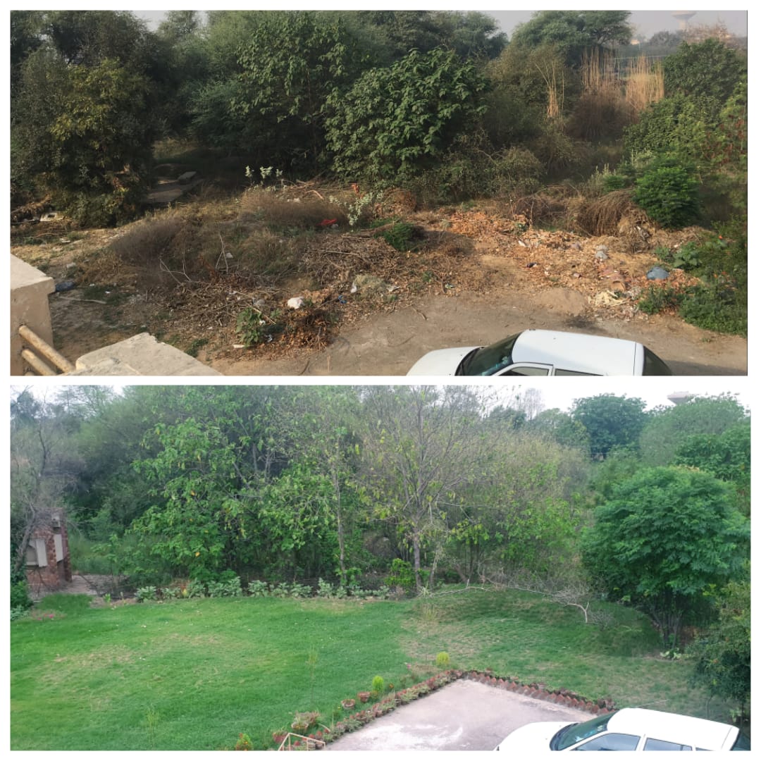 TubaSiddiqi's tweet photo. My mother transformed this garbage dump in front of her house in 4 months of lockdown, with the help of a very hardworking gardener. Our daadi had the most fitting comment, 'Nigehdaasht, aisi hee cheez hai- chahay darakht ki karein, chahay insaan ki.' https://t.co/VCZiyuuq3a