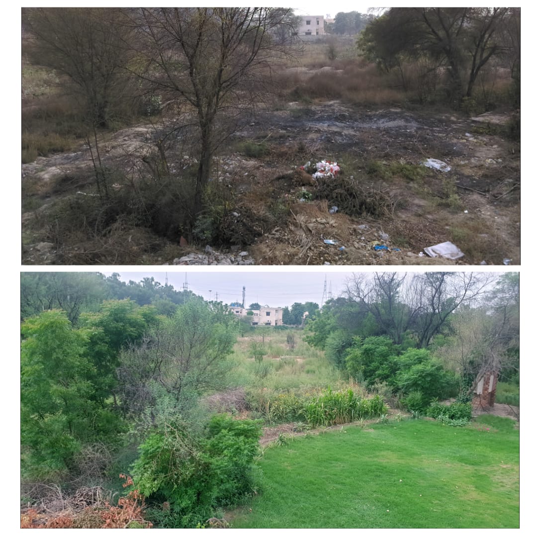TubaSiddiqi's tweet photo. My mother transformed this garbage dump in front of her house in 4 months of lockdown, with the help of a very hardworking gardener. Our daadi had the most fitting comment, 'Nigehdaasht, aisi hee cheez hai- chahay darakht ki karein, chahay insaan ki.' https://t.co/VCZiyuuq3a