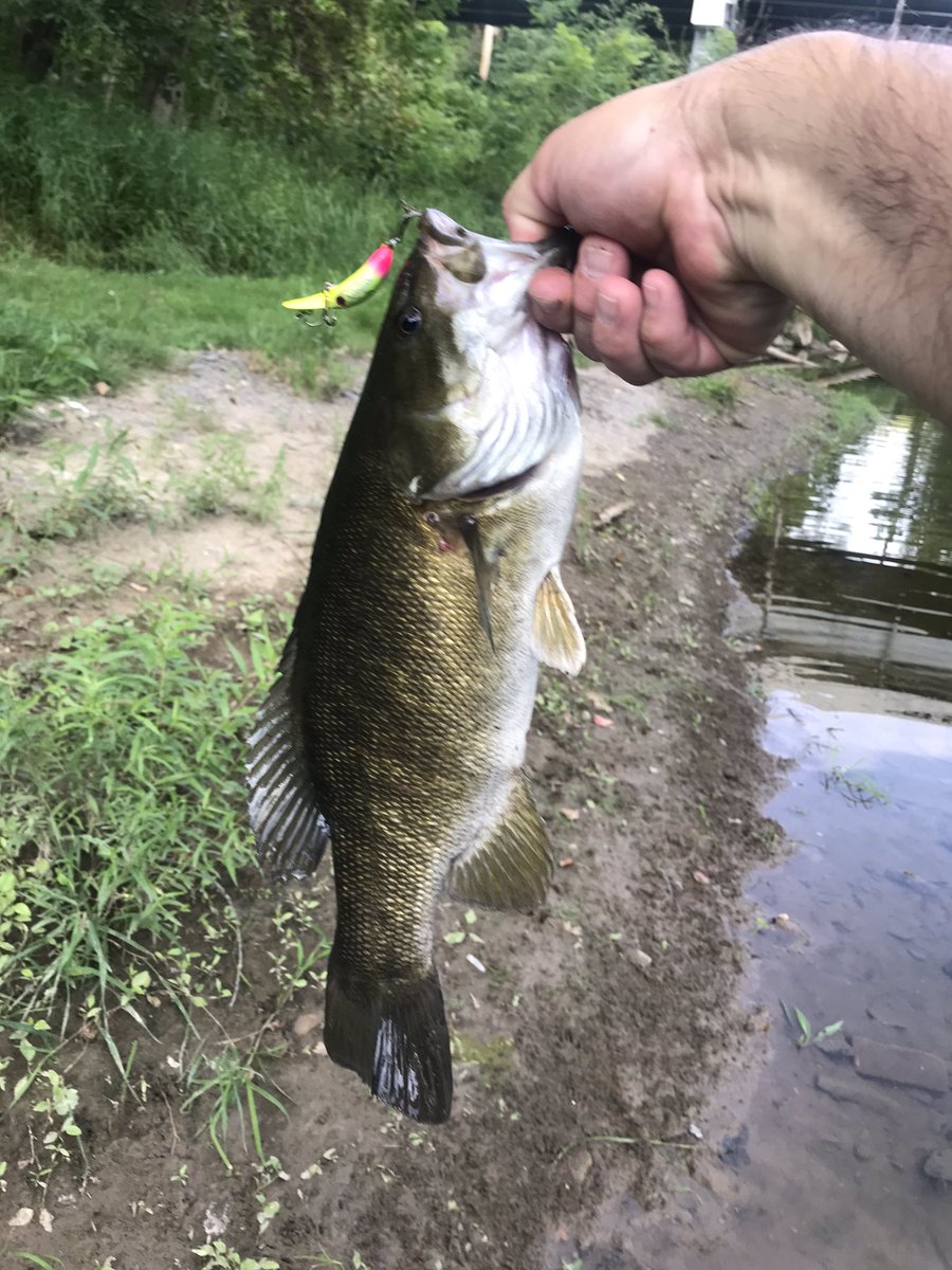 MooreFunFishing's tweet image. 