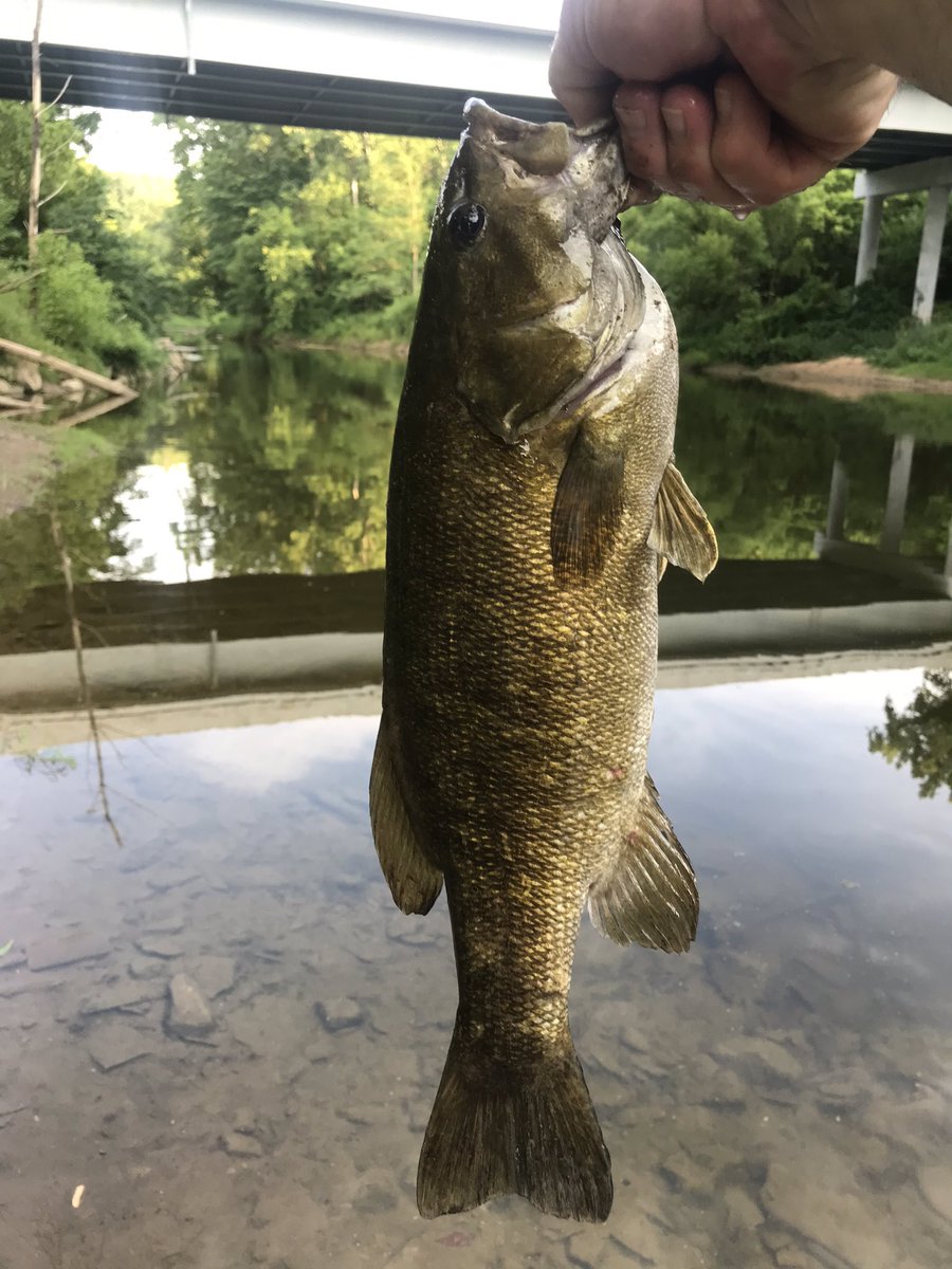 MooreFunFishing's tweet image. 