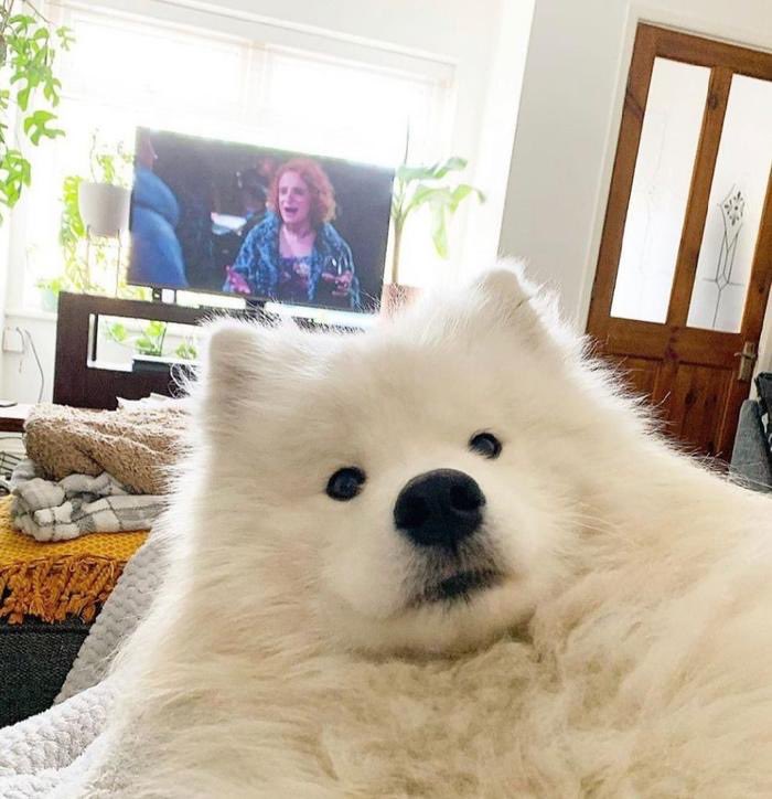 doppelgangerx tweet media