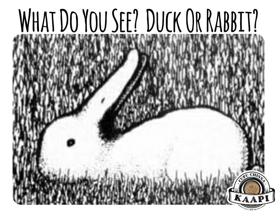CupuChinnaKaapi's tweet photo. #Duckorrabbit #Opticalillusion #Brainteaser #Comedy #EnglishMemes #COVID19 https://t.co/bHZte58cEk
