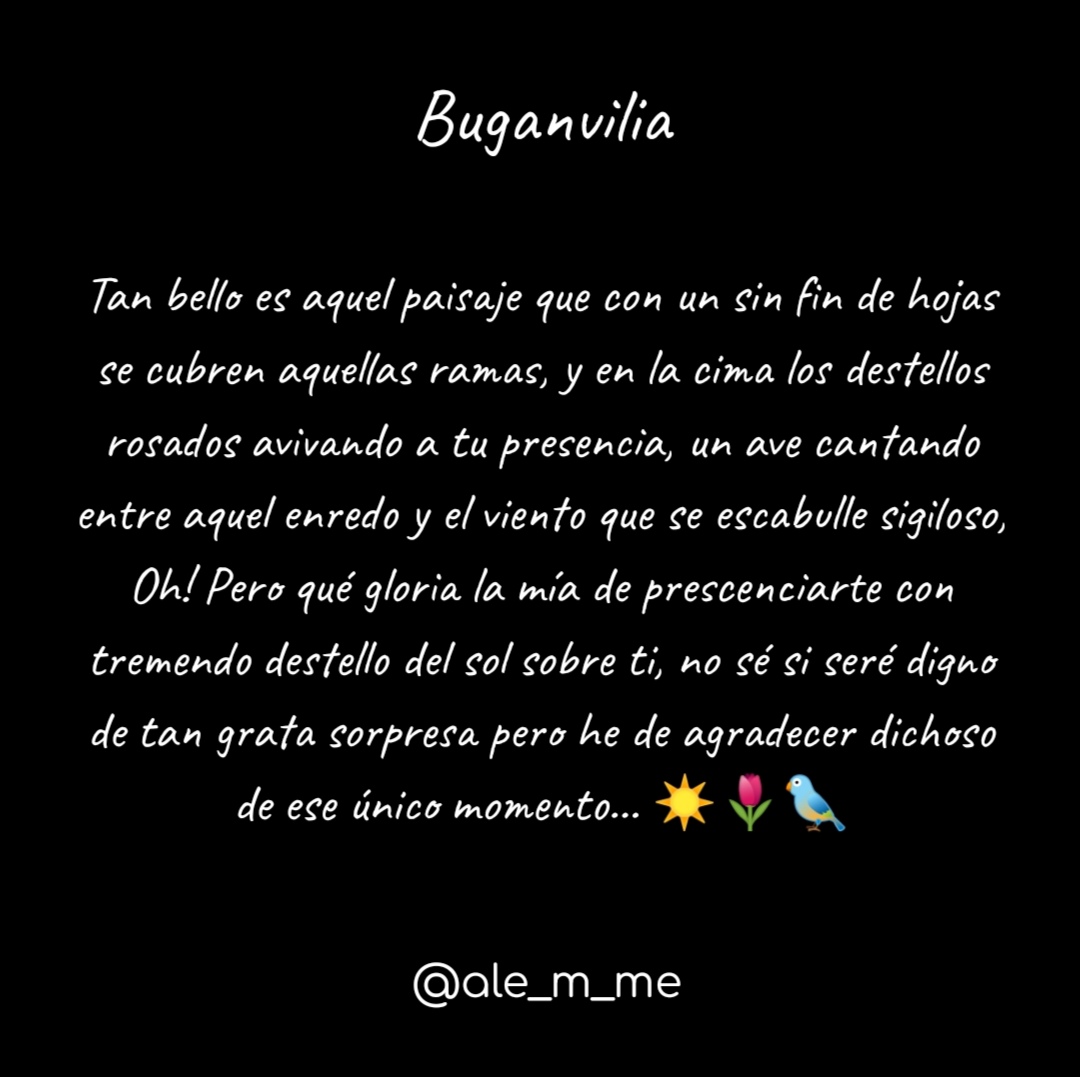 Alejandro Morales tweet media