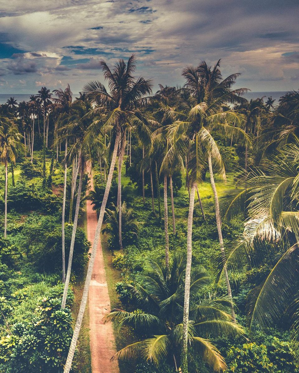 fanclubthailand's tweet photo. Avoid over developed areas and busy resorts &amp;book a break on Koh Mak island in Trat province. It offers an escape from the bright lights, but with excellent, high quality facilities. Like if you prefer not to follow the crowd #amazingthailand #travelphotography 
📷  @florisgone https://t.co/4GIBdmIu0c