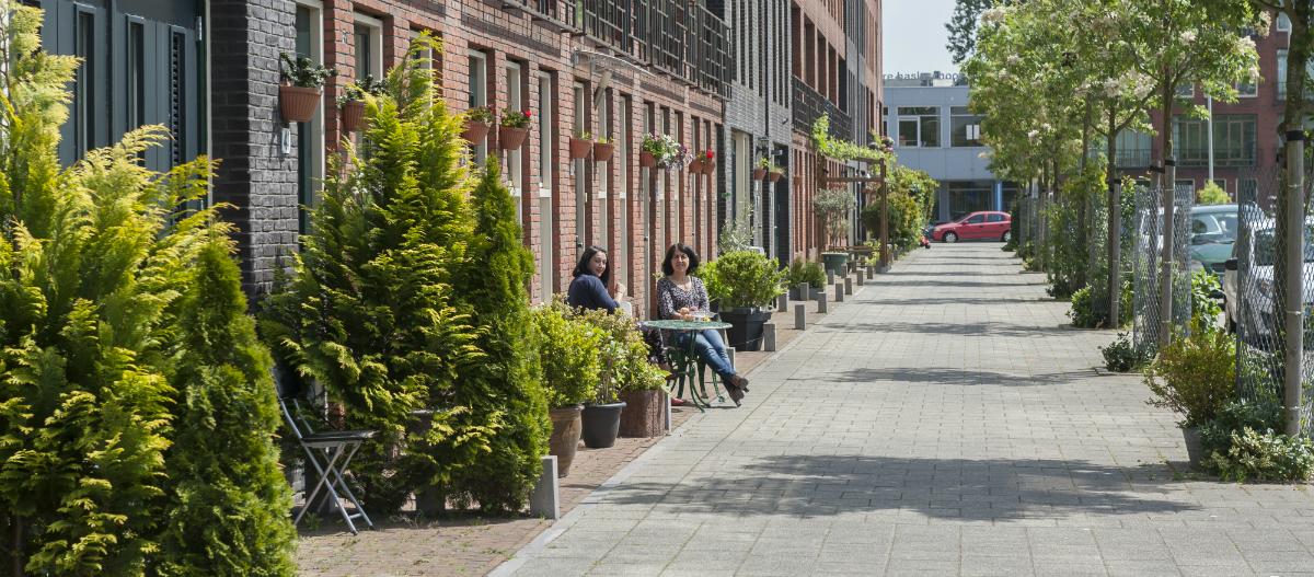 rotterdam's tweet photo. We gaan voor meer #geveltuinen in 010! Doe ook mee en help #Rotterdam het NK @tegelwippen te winnen door samen #1000geveltuinen aan te leggen in de stad! 

Kijk voor meer info en een video op 👉https://t.co/yoD0W56nxs https://t.co/1OxPu37GMe
