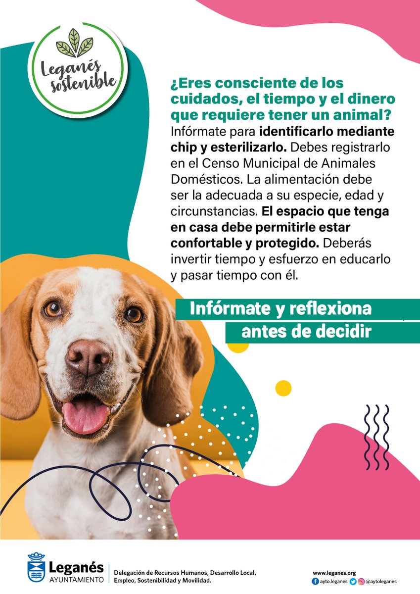 AytoLeganes's tweet photo. 🐕🐈A través de una campaña queremos recordar la importancia de adoptar en vez de comprar animales 

La campaña recuerda las obligaciones que adquiere un propietario a la hora de adoptar un animal

https://t.co/J1x4aVoR7M https://t.co/1gLKA3RBTw
