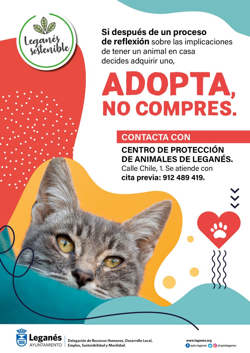 AytoLeganes's tweet photo. 🐕🐈A través de una campaña queremos recordar la importancia de adoptar en vez de comprar animales 

La campaña recuerda las obligaciones que adquiere un propietario a la hora de adoptar un animal

https://t.co/J1x4aVoR7M https://t.co/1gLKA3RBTw