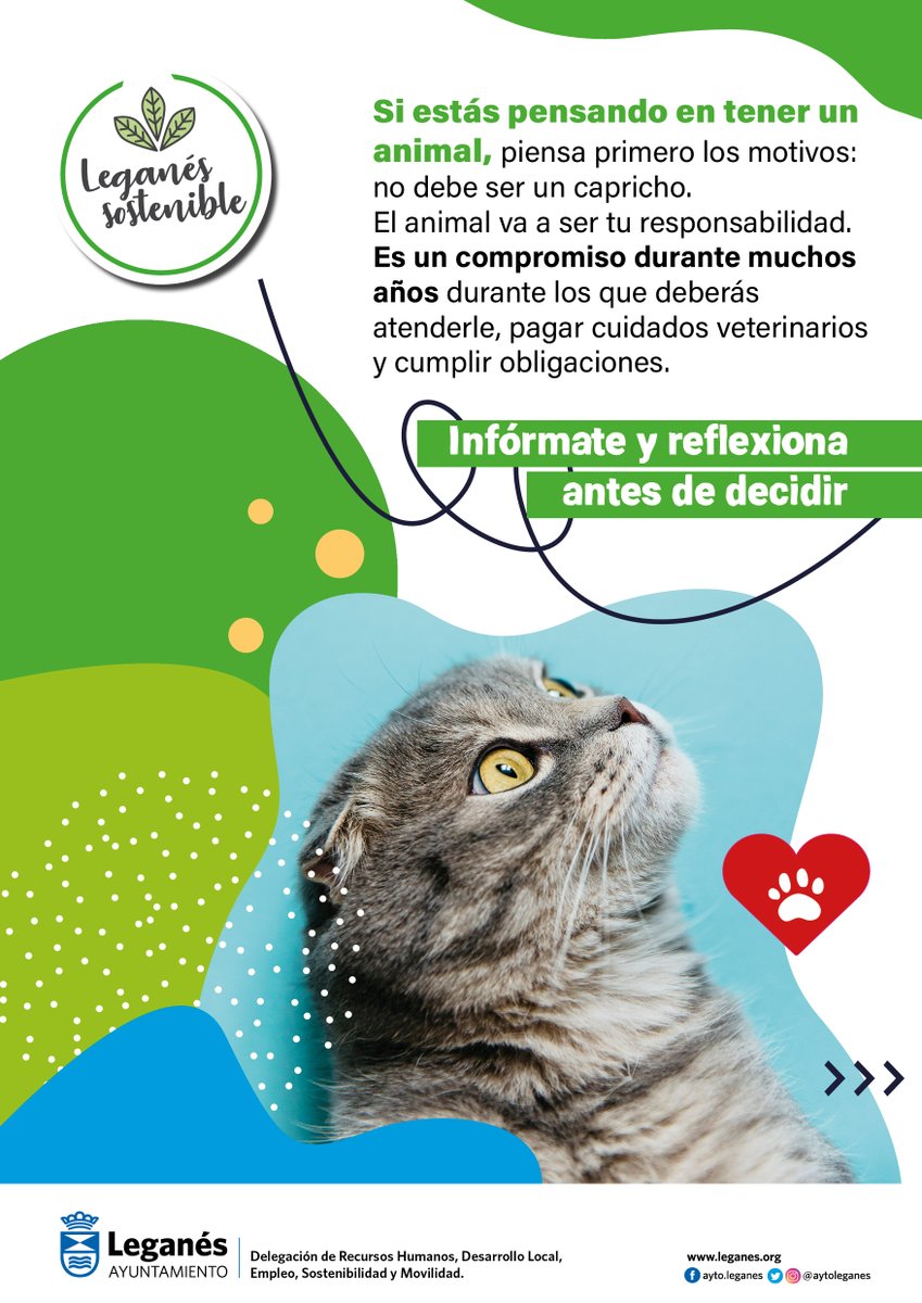 AytoLeganes's tweet photo. 🐕🐈A través de una campaña queremos recordar la importancia de adoptar en vez de comprar animales 

La campaña recuerda las obligaciones que adquiere un propietario a la hora de adoptar un animal

https://t.co/J1x4aVoR7M https://t.co/1gLKA3RBTw