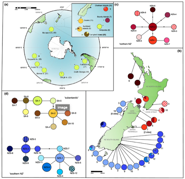 JBiogeography's tweet photo. Figures can make an impact, good or bad. The editors-in-chief and production office at JBI put our heads together to provide some tips on how to produce figures that'll help your manuscript reach the next level. https://t.co/GF8UWcKMyP https://t.co/EO54Akwc7X