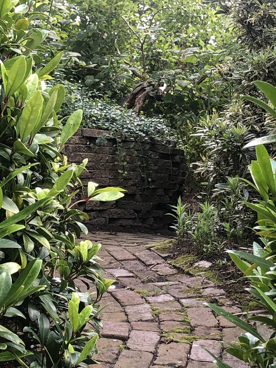 Onze Kijktuin! Paar foto’s van in de tuin en vanuit de tuin