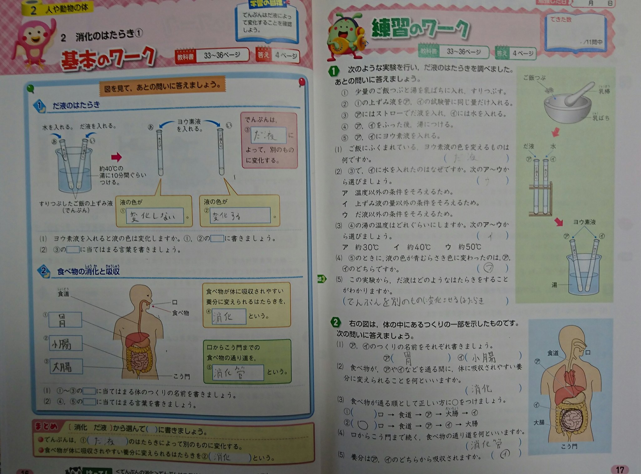 完全個別指導塾ceeds No Twitter 人の体のテスト勉強中の 小6の生徒さん 目には見えない 自分の体の仕組みに これが全部を入ってるんだ と驚き 関心をもちながら 学ぶことができました 急に言われたテストにも 対応できるようになり がんばりたい気持ちが 益々増して