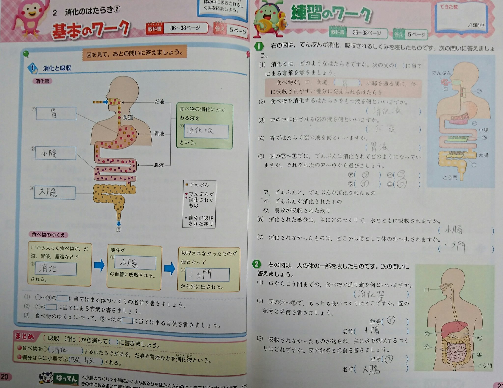 Telechargement Gratuit 食べ物 の ゆくえ 理科 2785