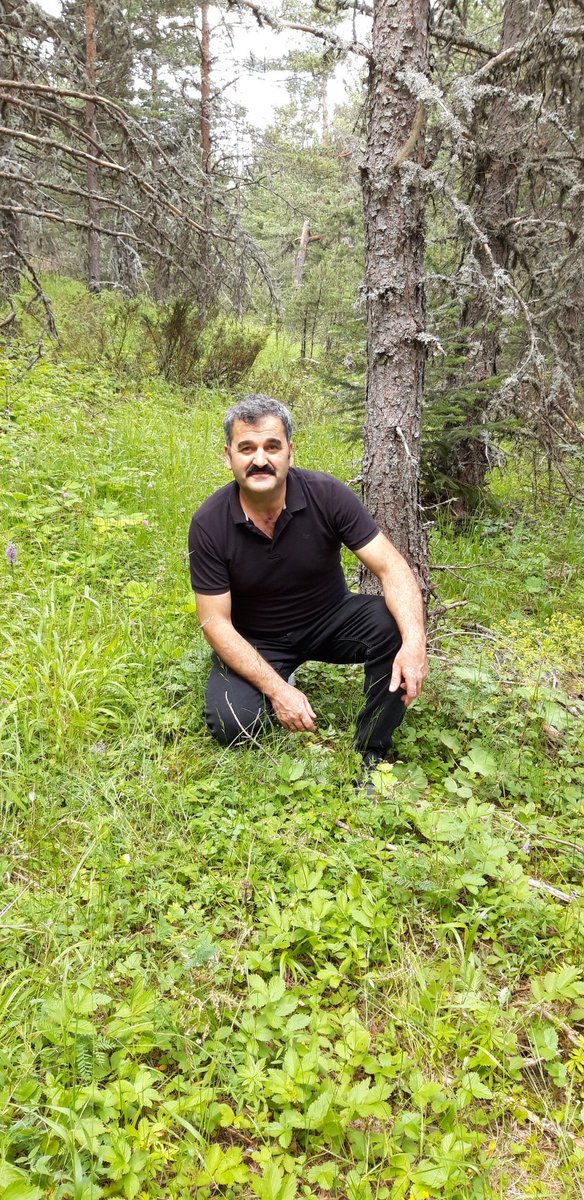 Günaydın güzel perşembe sabahından herkese slm olsun inşallah