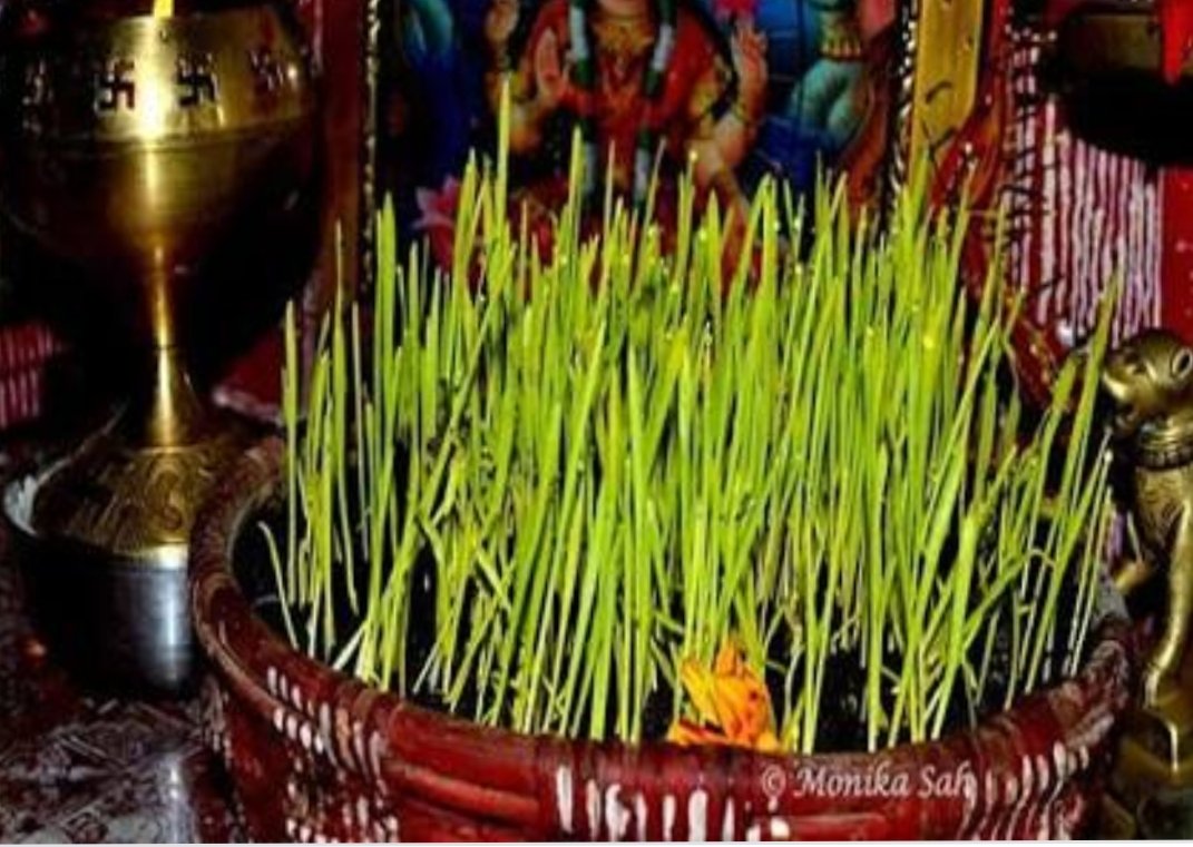 TRINTEL2016's tweet photo. Plant a Tree to Save Life
Harela is a festival celebrated basically in the Kumaon region of Uttarakhand state of India and some regions of Himachal Pradesh. ... It is also symbol for the onset of rainy season (Monsoon) as Harela literally means "Day of Green".
#happyharela https://t.co/Y7S6FEUZ6z